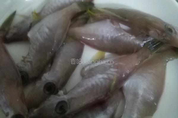 扒皮鱼焖苦瓜的做法图解2