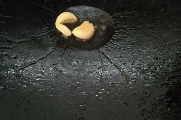 烧鸭的做法图解2