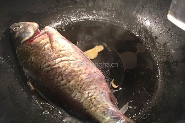 鲫鱼杂菇汤的做法图解4