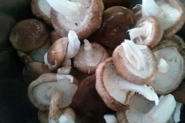 香菇圆葱烧肉片的做法图解1