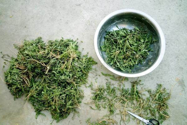野生芥菜玉米团子的做法图解2