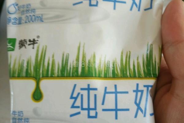 酸奶的做法图解3