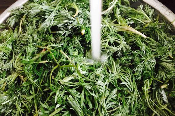 粉蒸清香白蒿的做法图解3