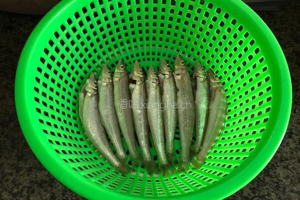 香煎沙锥鱼的做法图解1