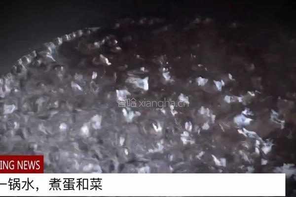 无油快手又好吃的 卤肉饭的做法图解19