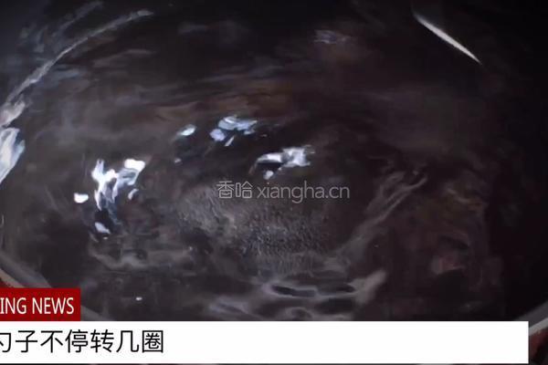 无油快手又好吃的 卤肉饭的做法图解21