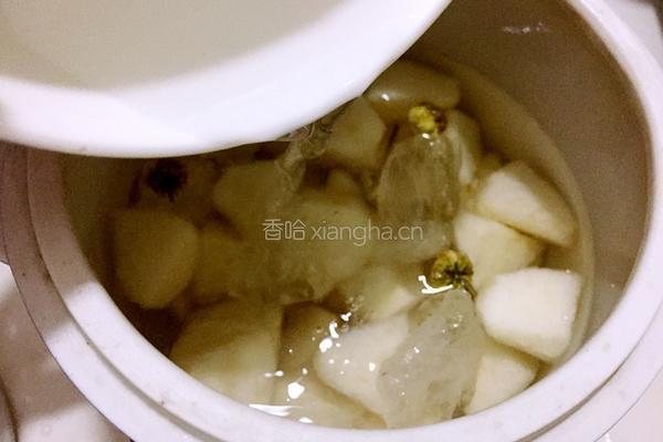 胎菊冰糖炖雪梨的做法图解5