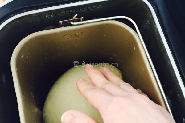 纯牛奶土司的做法图解9