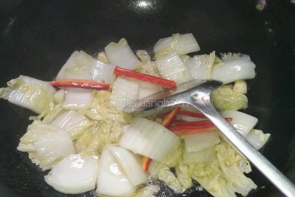清炒白菜的做法图解4