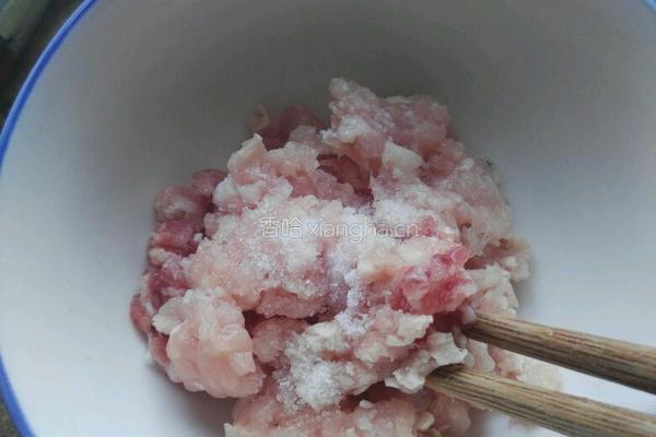 猪肉脯（无芝麻）的做法图解3