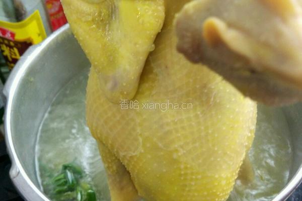 白切鸡的做法图解5