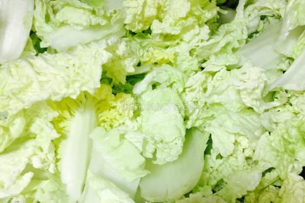 豆瓣酱煸银丝的做法图解7