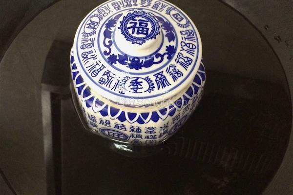 虫草花椰子炖鸡的做法图解5