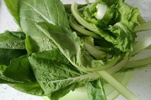 虾皮小白菜儿的做法图解1