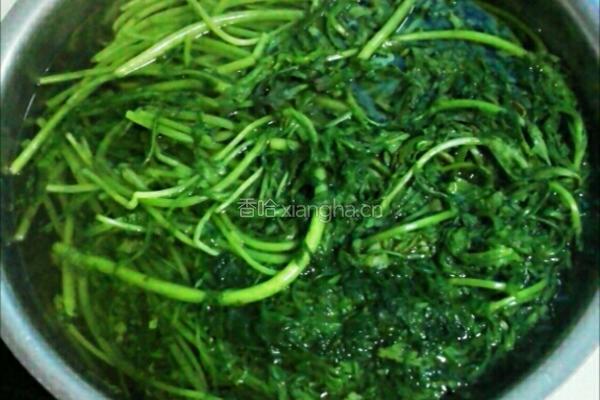 茼蒿肉包子的做法图解1