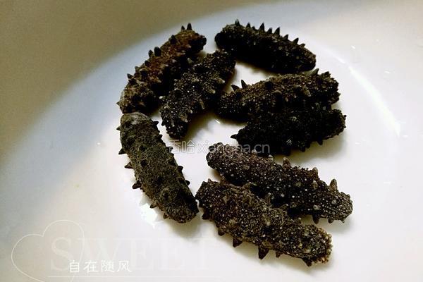 葱烧海参的做法图解1