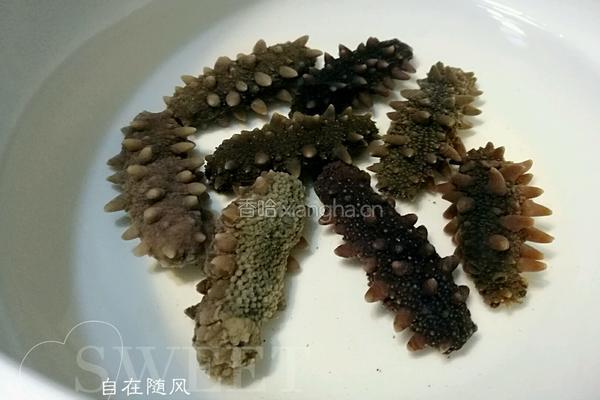 葱烧海参的做法图解2