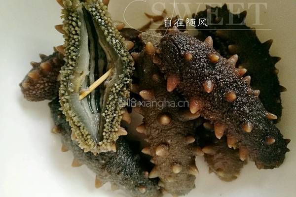 葱烧海参的做法图解4