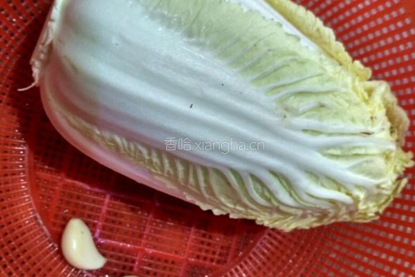 蒜蓉炒娃娃菜的做法图解1