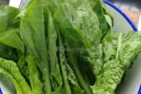蒜香莴苣叶的做法图解1