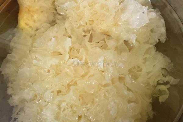 银耳肉片的做法图解1