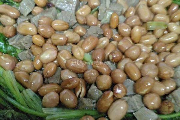 花生牛肉焖香菜的做法图解14