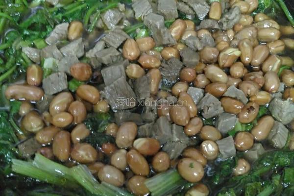 花生牛肉焖香菜的做法图解15