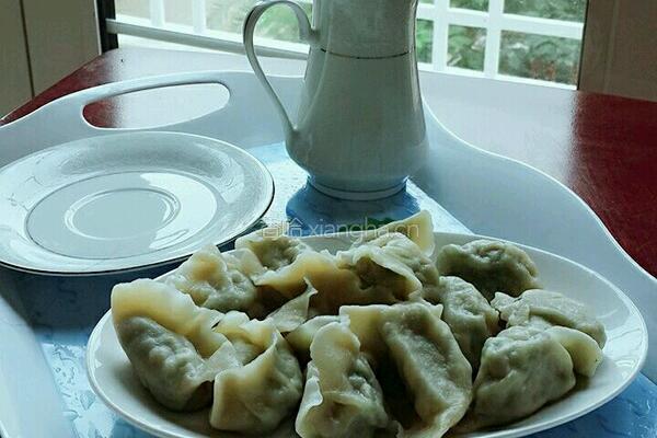皮薄不破的茴香大馅饺子的做法图解14