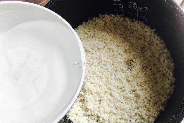 青蚕豆焖糯米饭的做法图解9