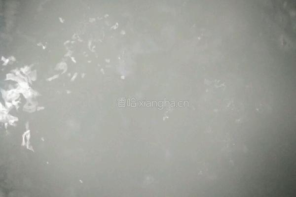 冬寒菜瘦肉粥的做法图解2