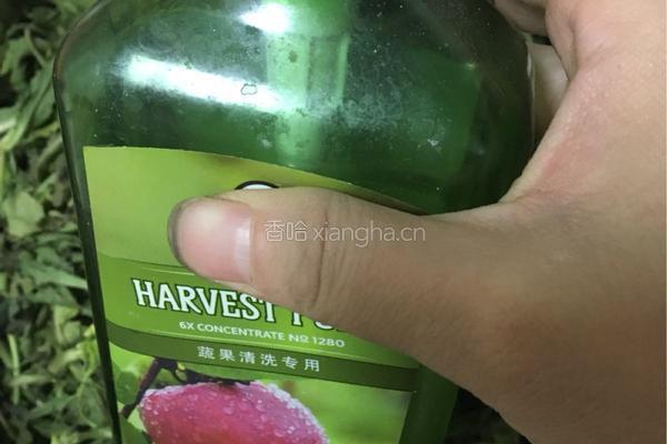 荠菜的做法图解3
