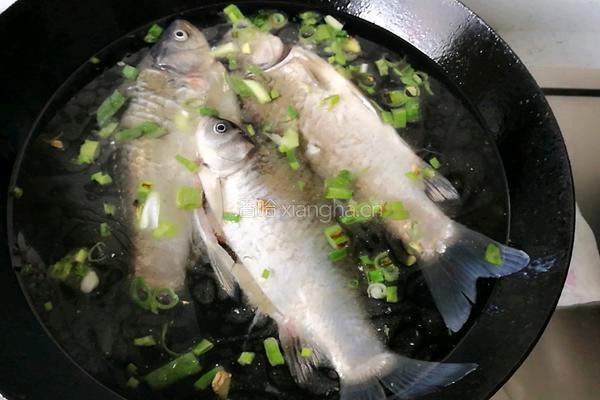 鲫鱼豆腐汤的做法图解4