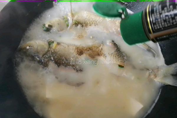 鲫鱼豆腐汤的做法图解8