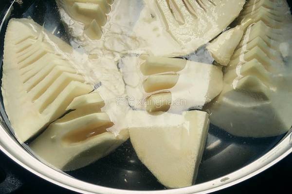 鲜笋鸡蛋饼的做法图解2