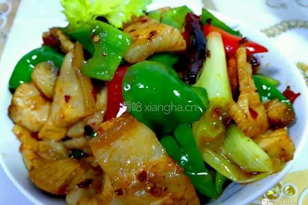 小炒回锅肉的做法图解4