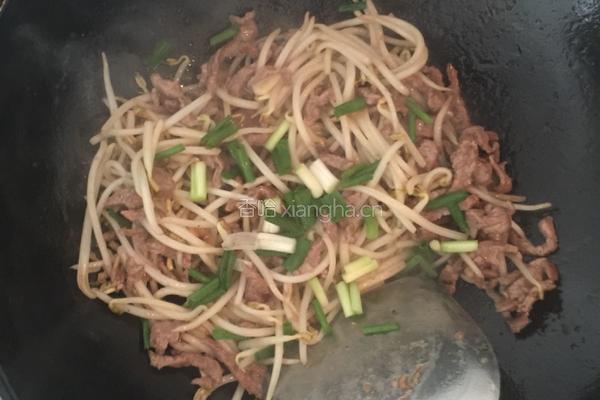 牛肉丝炒豆芽的做法图解6