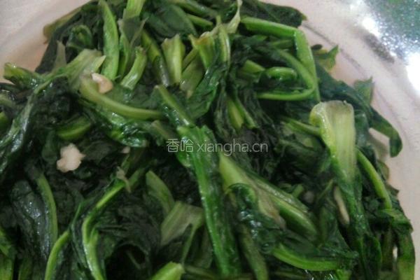 蒜蓉油麦菜的做法图解6