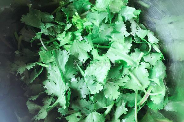 凉拌香菜豆干的做法图解2
