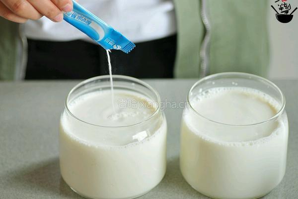 酸奶也可这样吃‖花式酸奶的做法图解3