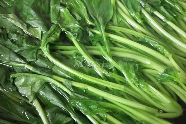 蚝油小酱拌菠菜的做法图解4