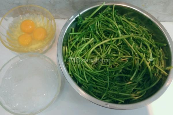 包子……苜蓿鸡蛋粉丝馅的做法图解2