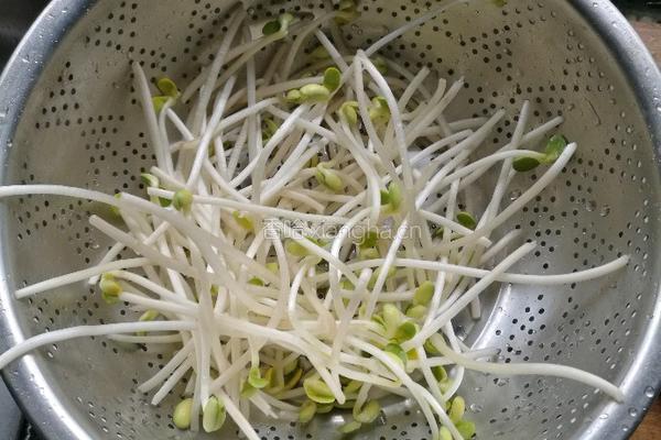 豆芽南瓜丝的做法图解4