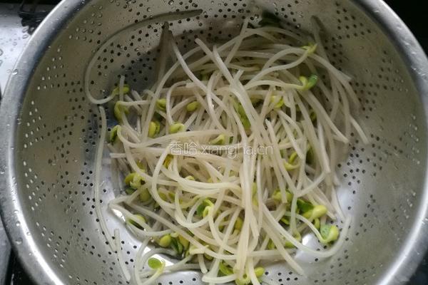 豆芽南瓜丝的做法图解6