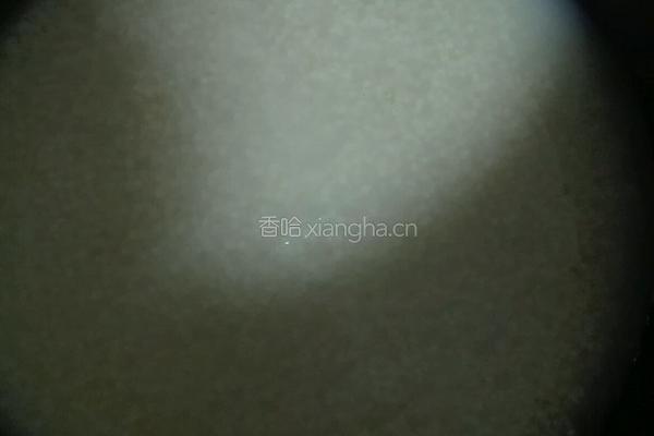 小米粥的做法图解3