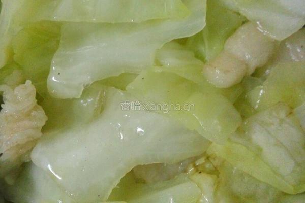 蒜蓉包菜的做法图解6