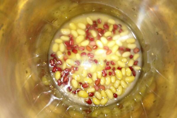 红豆小米豆浆的做法图解4