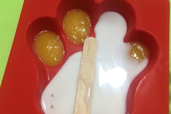 自制冰棍的做法图解13