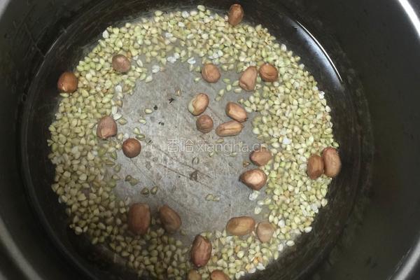 荞麦粥的做法图解2