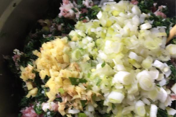荠荠菜饺子的做法图解5