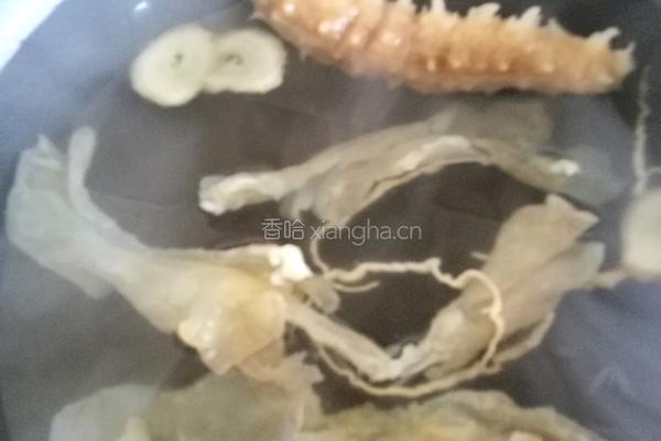 花胶参海木瓜牛奶甜汤的做法图解2